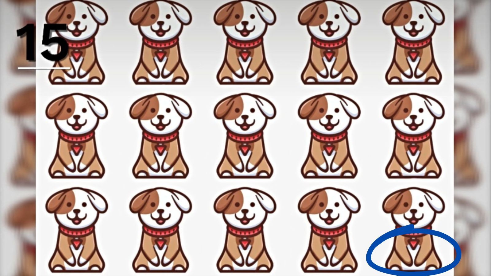 Bestehst du den Sehtest: Welcher Hund ist anders als die anderen?